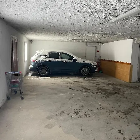 Апартаменты App 4-6 Pers Avec 1 Place Garage 100m Pistes Plein Centre Ле дез Альп